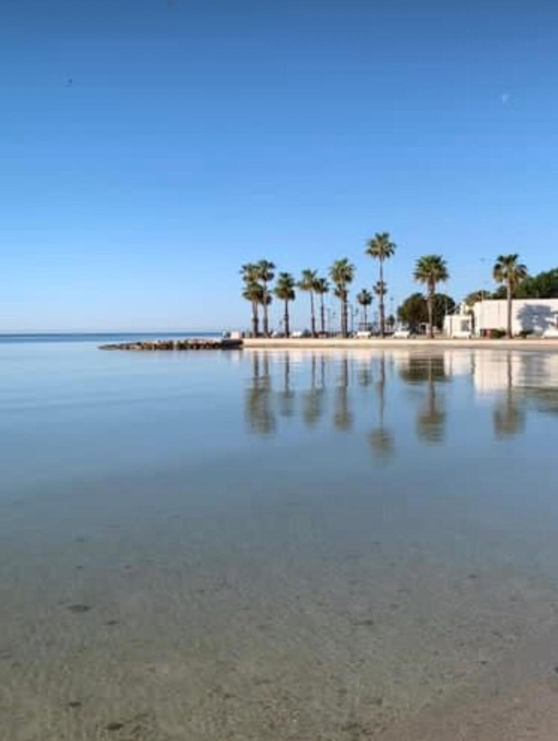 Viva Vista Mare Trilo Primo Piano Apartment Porto Cesareo Exterior photo